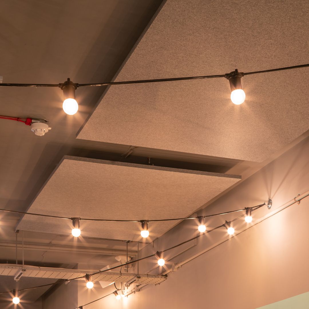 Muffle Acoustics tweet media