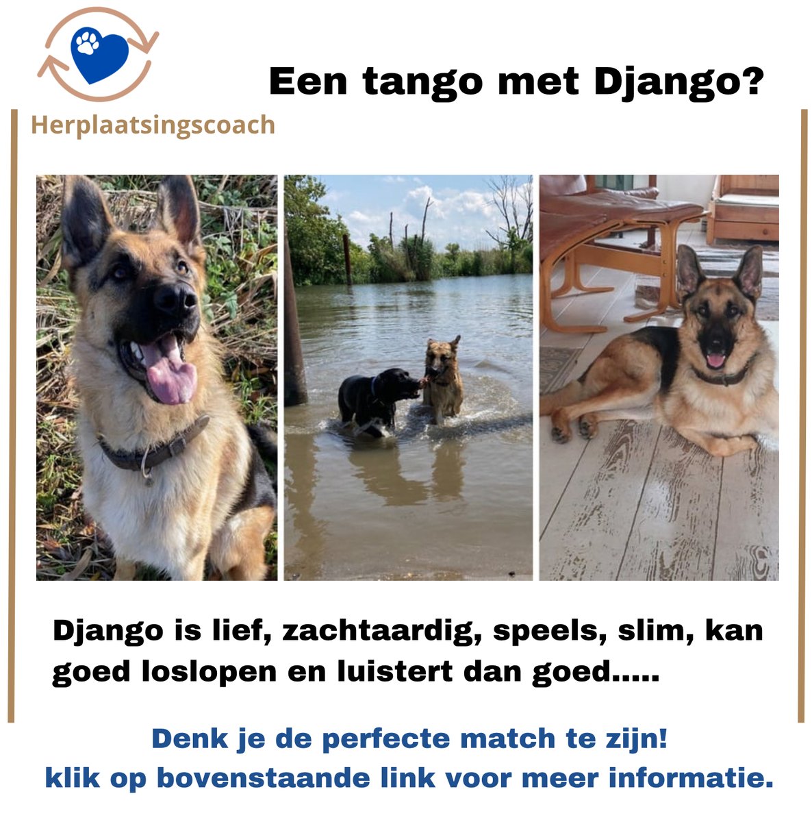 Wilma tweet media