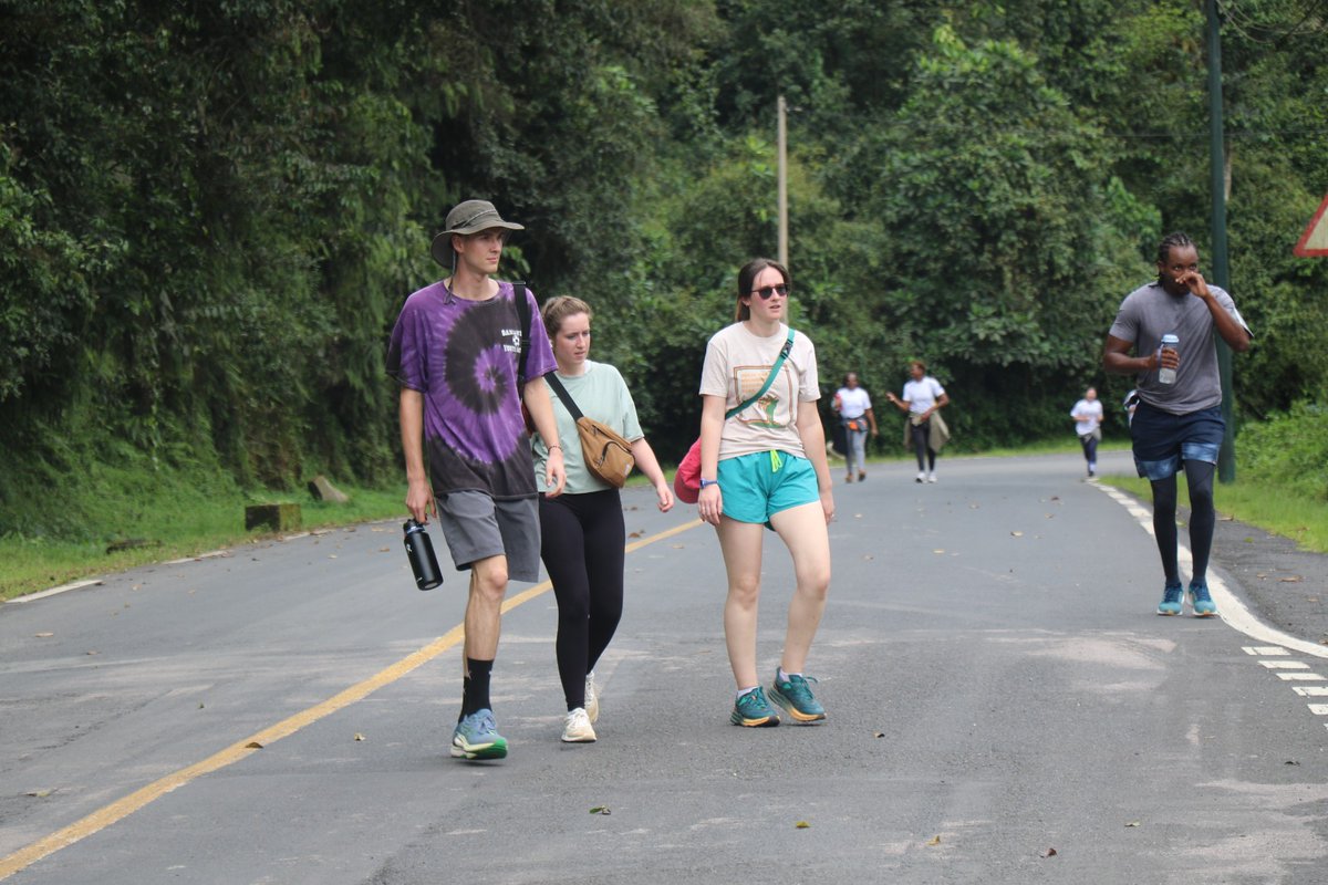 Yesterday, The Nyamasheke District management, together with hundreds of adventurers, embarked on the #NyungweMarathon, exploring the enchanting vistas of Nyungwe National Park by foot and bike—a harmonious blend of running and riding amidst nature's splendor! #VisitRwanda