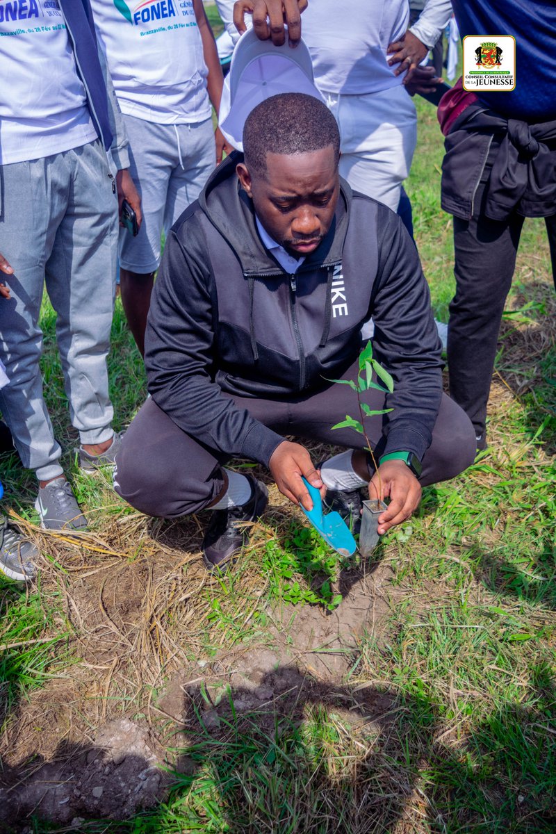 Conseil Consultatif de la Jeunesse tweet media