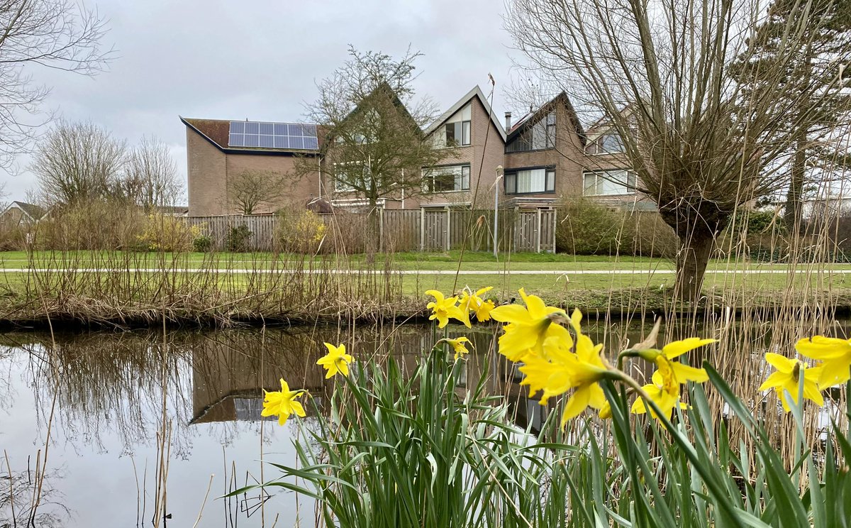 CorBuschman's tweet photo. De lente komt er aan. https://t.co/oLXmJosbrB