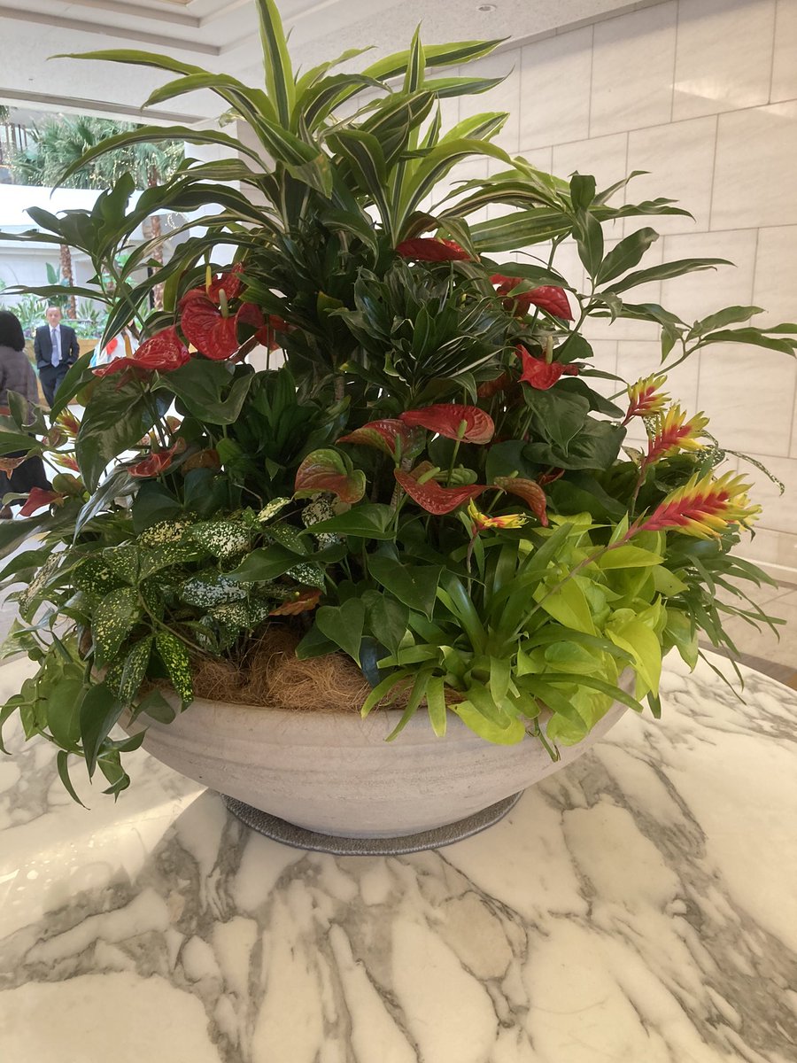 みなたんと宮崎旅行に来ました😊
シーガイアホテルに到着♪
6日間満喫するぞ^^