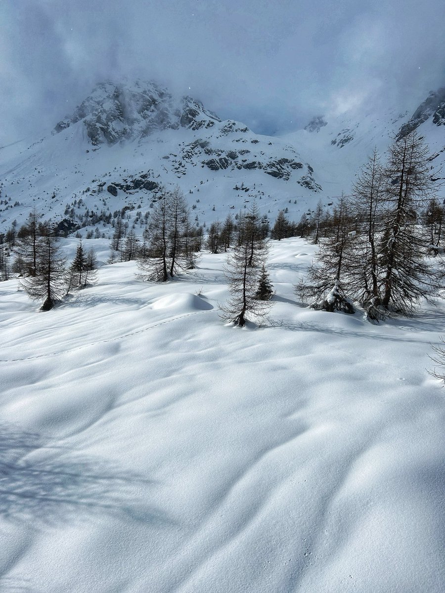 elysantoni's tweet photo. 𝘗𝘢𝘯𝘯𝘢 𝘮𝘰𝘯𝘵𝘢𝘵𝘢 𝘢𝘥 𝘢𝘭𝘵𝘢 𝘲𝘶𝘰𝘵𝘢 😋❄️
.
.
.
#pannamontata #pejo #mountains #snow #whitelandscape #chocolate #cream #whippedcream #ski #skiing https://t.co/E0vkNI34FF