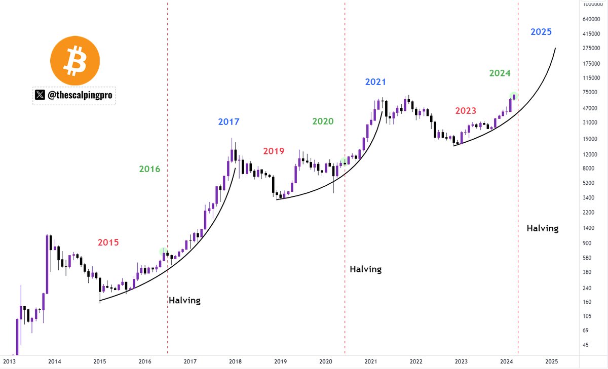 thescalpingpro's tweet photo. #Bitcoin bull run is here 🔥 https://t.co/fcte3jvQYV