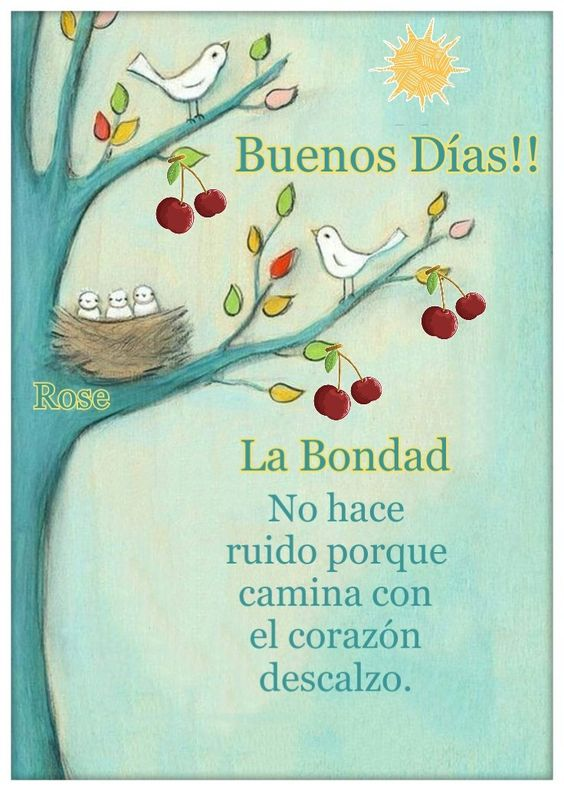 connyhadafloral's tweet photo. Buenos días para todos y para toda la vida en todas partes. https://t.co/5o8V3uEF8z