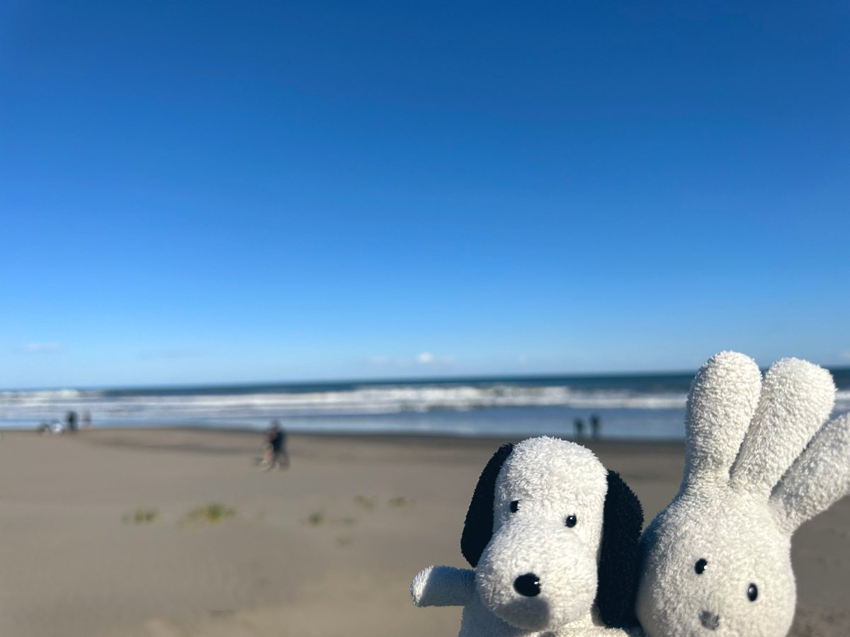 おじぎちゃん♥ おじぎちゃん (@ojigi_beach) / Posts / X