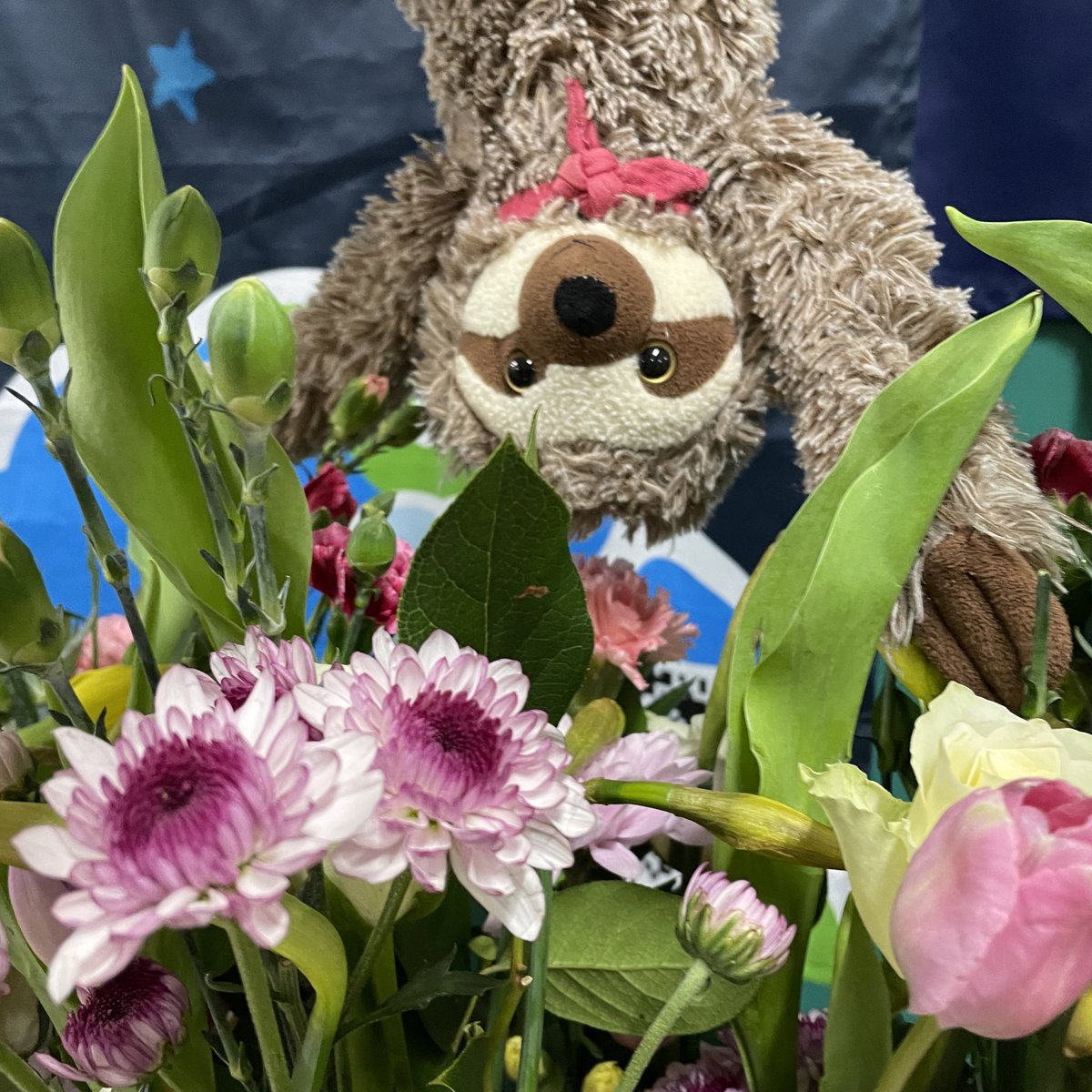 SfidaTheSloth's tweet photo. Have a special and happy Mother’s Day today!

#girlguiding #kent #mothersday https://t.co/PeYPyReelH
