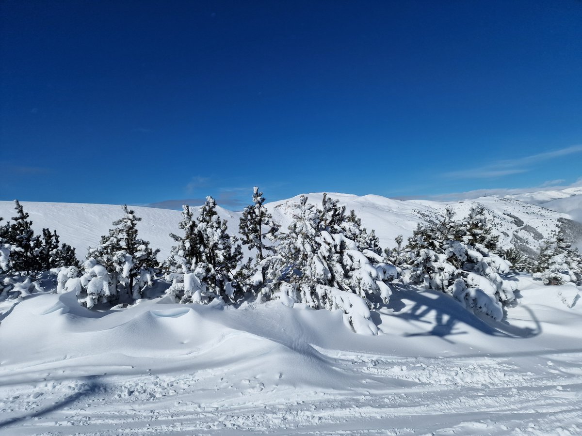 MeteoGasso's tweet image. Brutalíssim com està @SnowLaMolina i Alp2500! Nevada de la temporada i dels últims anys, des del Glòria! ❄️⛷️🍰 #powderday