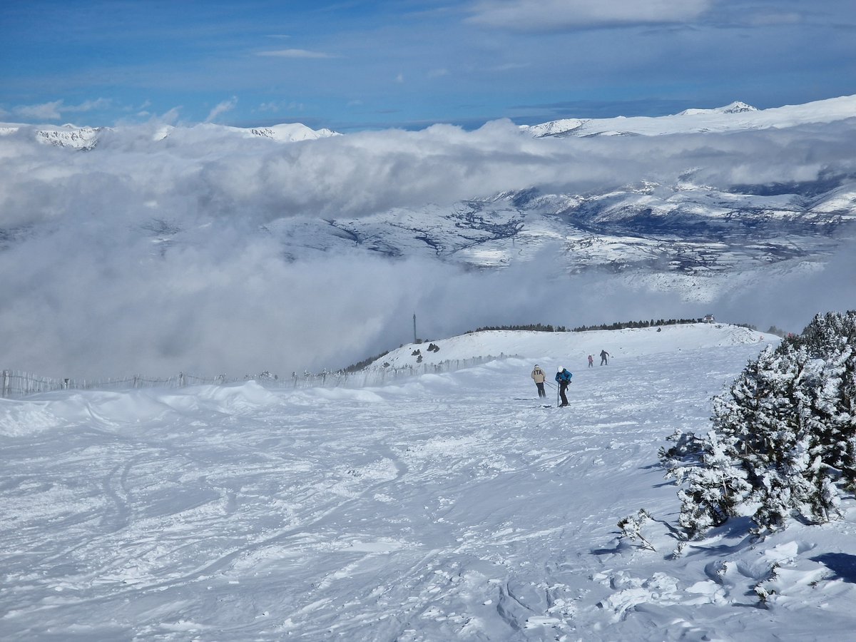 MeteoGasso's tweet image. Brutalíssim com està @SnowLaMolina i Alp2500! Nevada de la temporada i dels últims anys, des del Glòria! ❄️⛷️🍰 #powderday