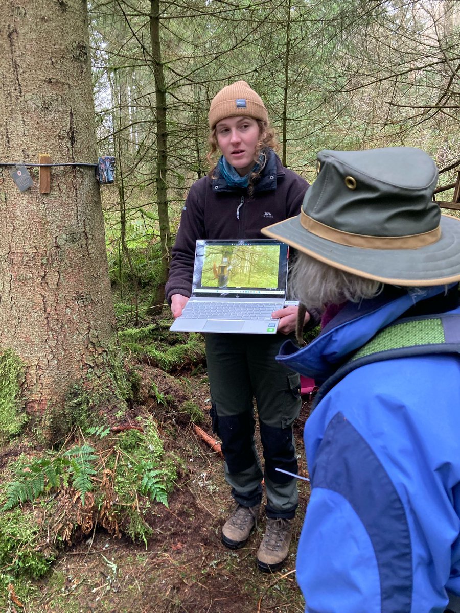 A big thanks to @redcrst for welcoming us to their site and for running a Red Squirrel walk as part of our Community Outreach project with @denbighshirecc which is funded by the UK Governments Shared Prosperity Fund.