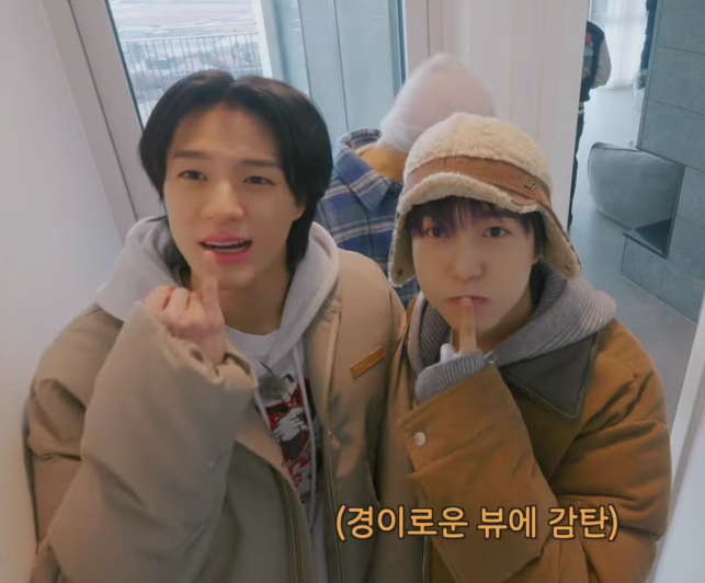 chxxcho's tweet photo. 오션뷰보다 더 좋은 멍냥뷰 https://t.co/i2m7uGl7yb