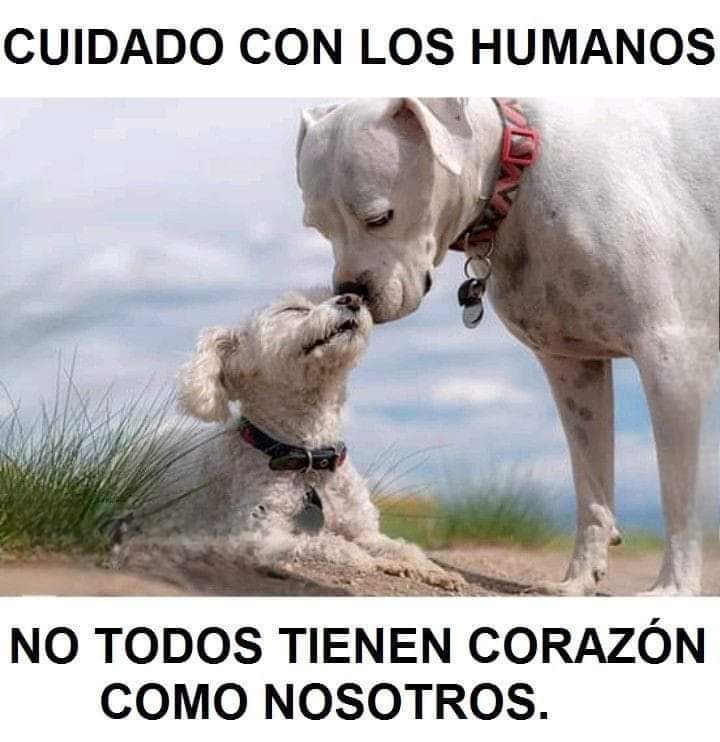 Luchadora😉😉🎆😎 (@luchadora67) on Twitter photo 