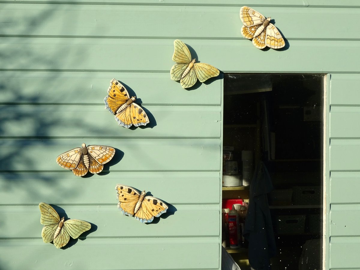 Mark Morel tweet media