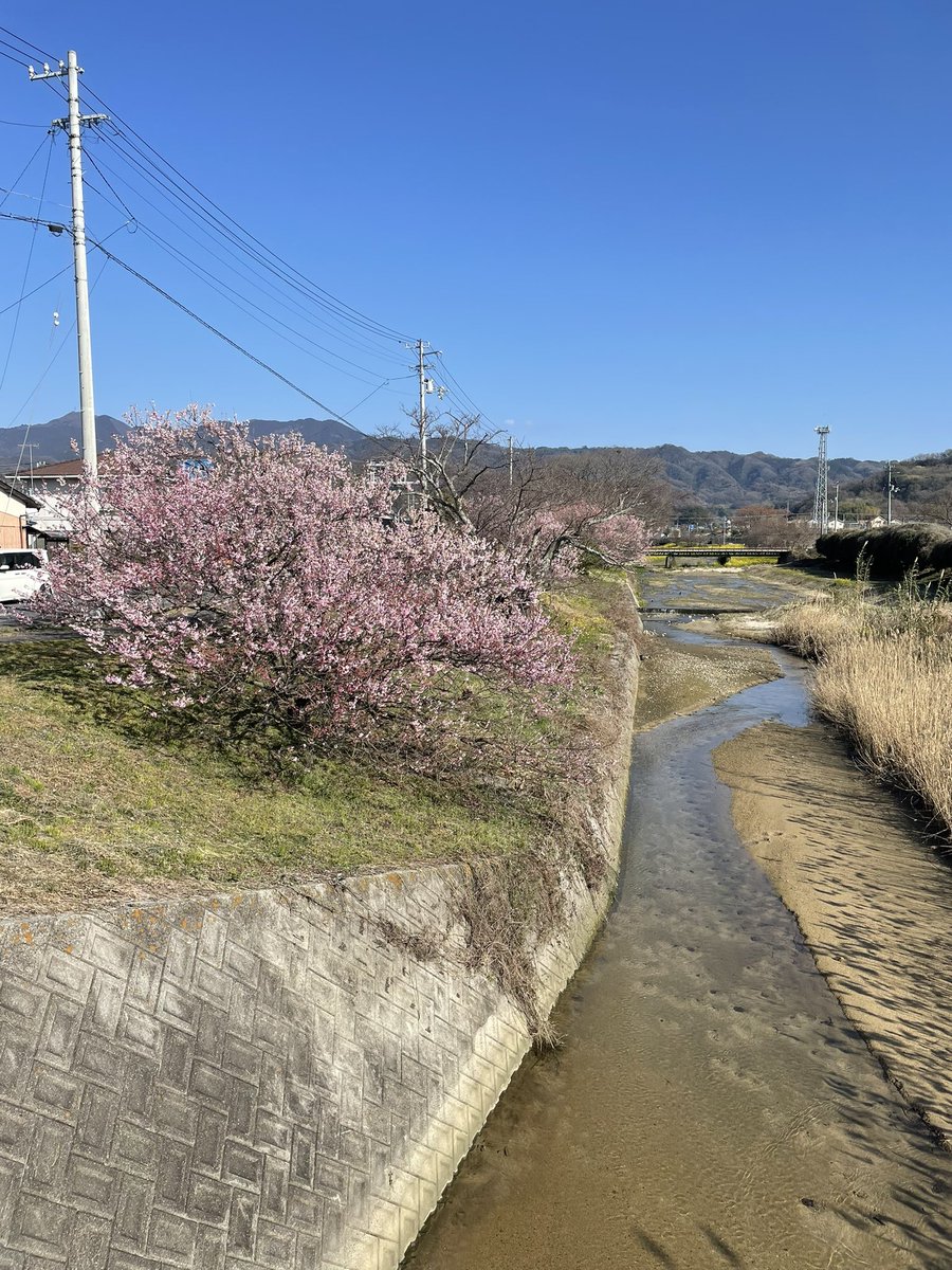 get764's tweet photo. Spring is just around the corner https://t.co/KD0qPbPzny