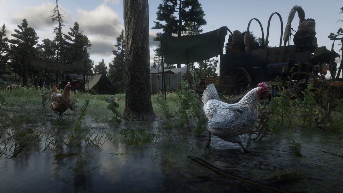 cyber0error's tweet image. а ещё у меня в лагере есть куры, хотя мне вполне хватало того, что там есть Мика