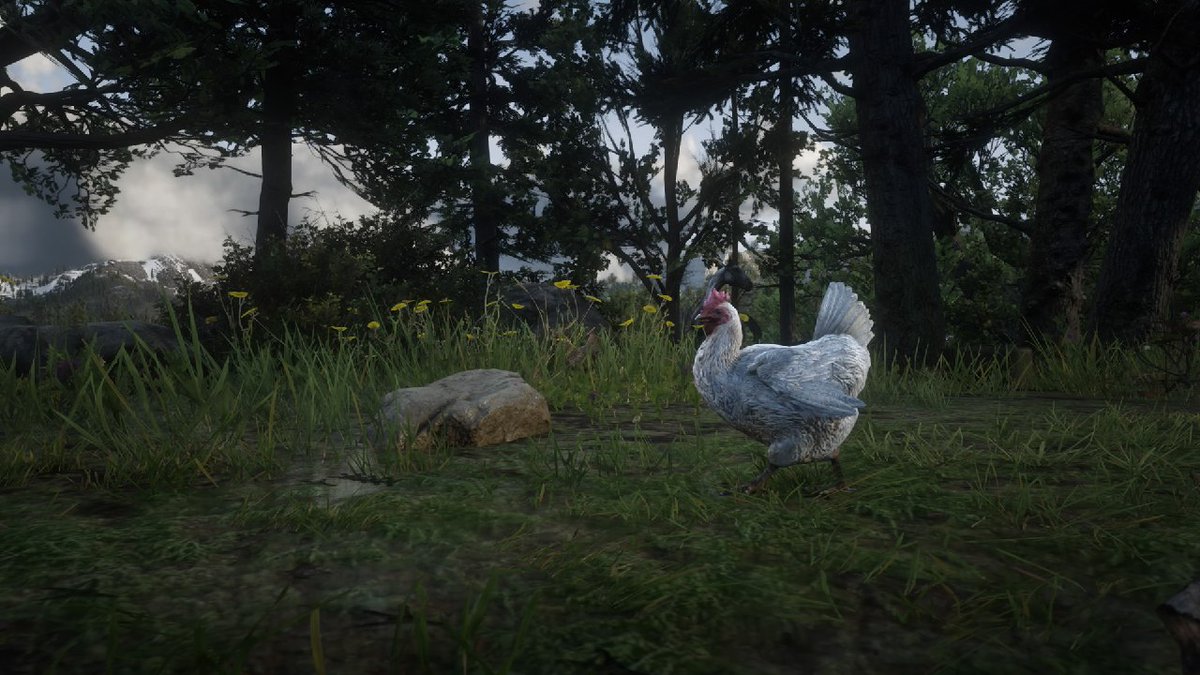 cyber0error's tweet image. а ещё у меня в лагере есть куры, хотя мне вполне хватало того, что там есть Мика