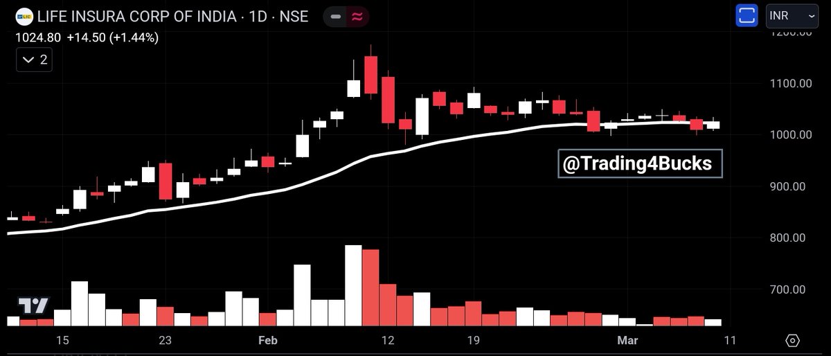 🐊 Crocodile Pattern #LIC