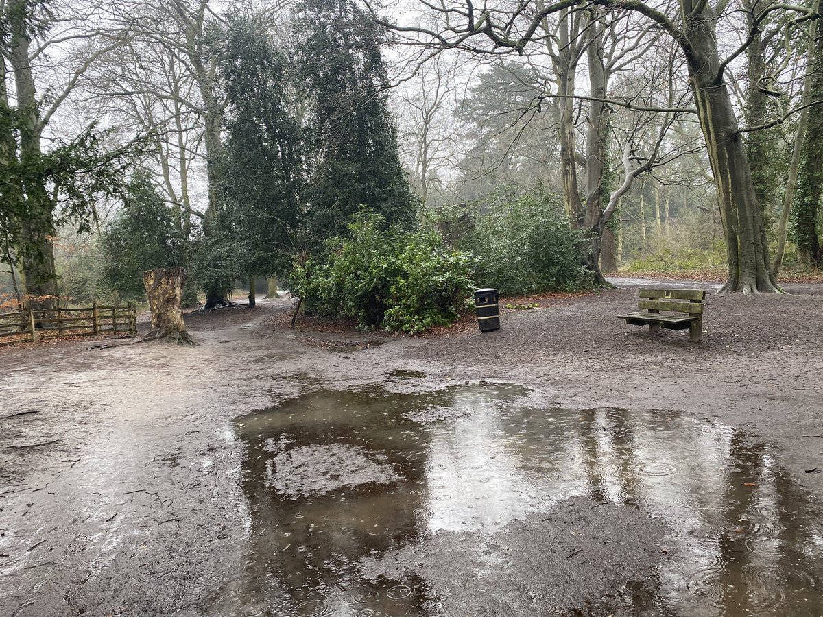 Wet Sunday in the park