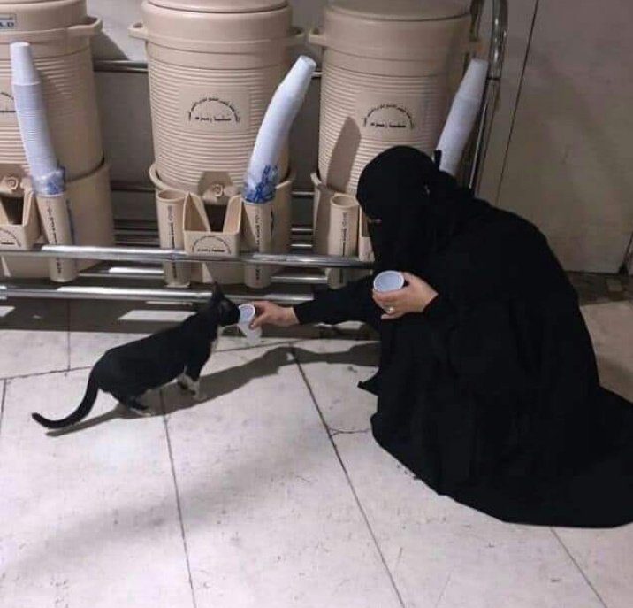 A boy asked his mom, 
"If everything is already written, then why should I wish?"

she answered,
 "Maybe on some pages Allah has written, As you wish." 💌