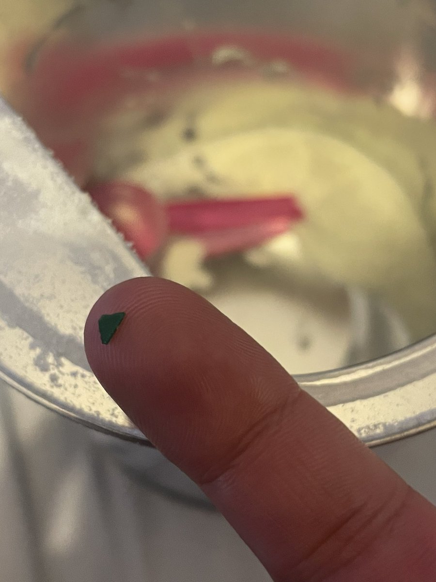 Kiwifide tweet media