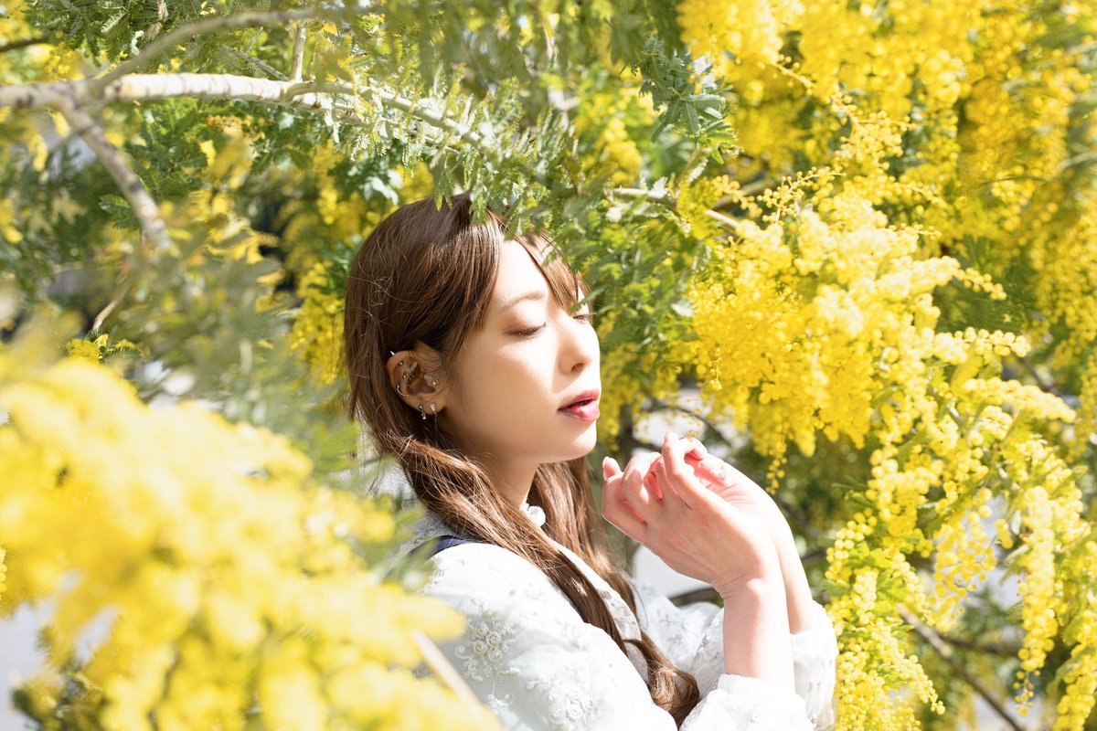 99_Uto's tweet photo. *portrait

　　　　　　　　秘密の恋

　　　　　　　 ★━━━━

　　　　　　　　ᴘʜᴏᴛᴏ ʙʏ
　　　　　 ˗ˏˋ　あつしさん　ˎˊ˗
　　　　　　　（IDはツリー）

　　　　　　　 ━━━━ ★

.
#nakamura交流会 https://t.co/XKFdbeWzSJ