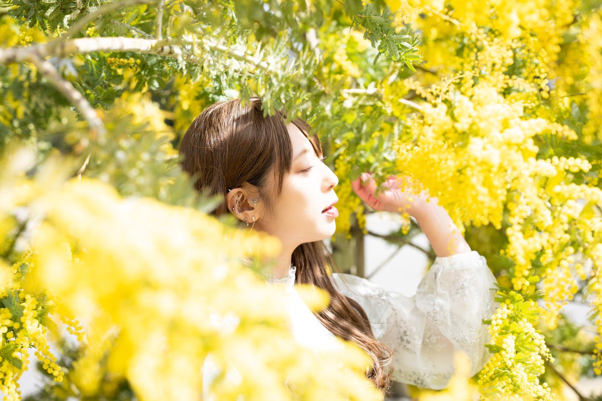 99_Uto's tweet photo. *portrait

　　　　　　　　秘密の恋

　　　　　　　 ★━━━━

　　　　　　　　ᴘʜᴏᴛᴏ ʙʏ
　　　　　 ˗ˏˋ　あつしさん　ˎˊ˗
　　　　　　　（IDはツリー）

　　　　　　　 ━━━━ ★

.
#nakamura交流会 https://t.co/XKFdbeWzSJ