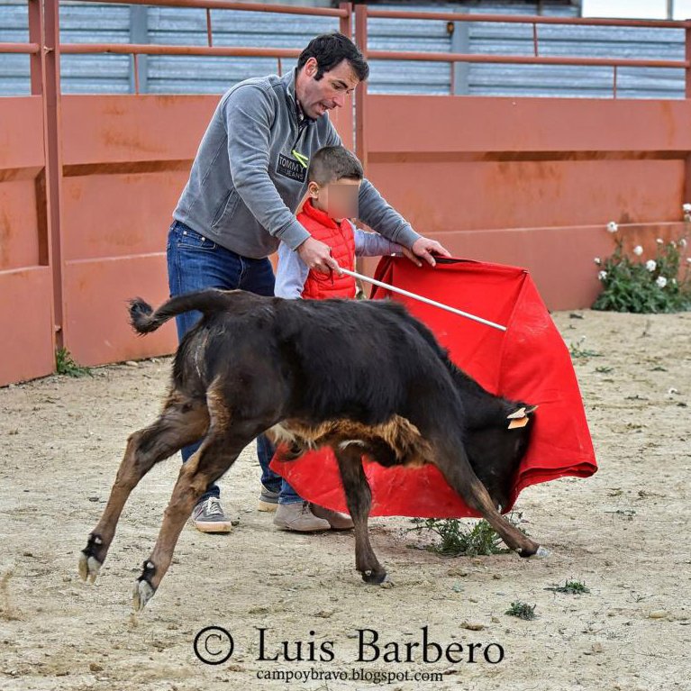 ruben_prz's tweet photo. ESCUELA DE MALTRATO ANIMAL ❌

Esta "escuela taurina" ubicada en #Zaragoza ha recibido miles de € del Gobierno de Aragón para esto para enseñar a maltratar animales 👇🏼

Lo difunden sin tapar la identidad de los menores y como si fuera una actividad extraescolar más... https://t.co/9JpETXuMid