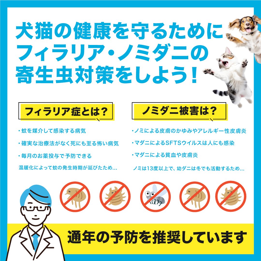 tkzwgrs's tweet photo. 【⚠️ペット飼い主の皆様へ】フィラリア・ノミダニ予防シーズン到来 #ad

🔸フィラリアで傷ついた心臓や血管は生涯治療が必要
🔸3～6月は各予防接種で動物病院が混雑

通販サイト「ペットくすり」ならネットで手軽に犬猫薬を購入可能✨

▼クーポンコード【gareso】で全品1割引
https://t.co/XXo5cQS96h https://t.co/HPs71trR9U