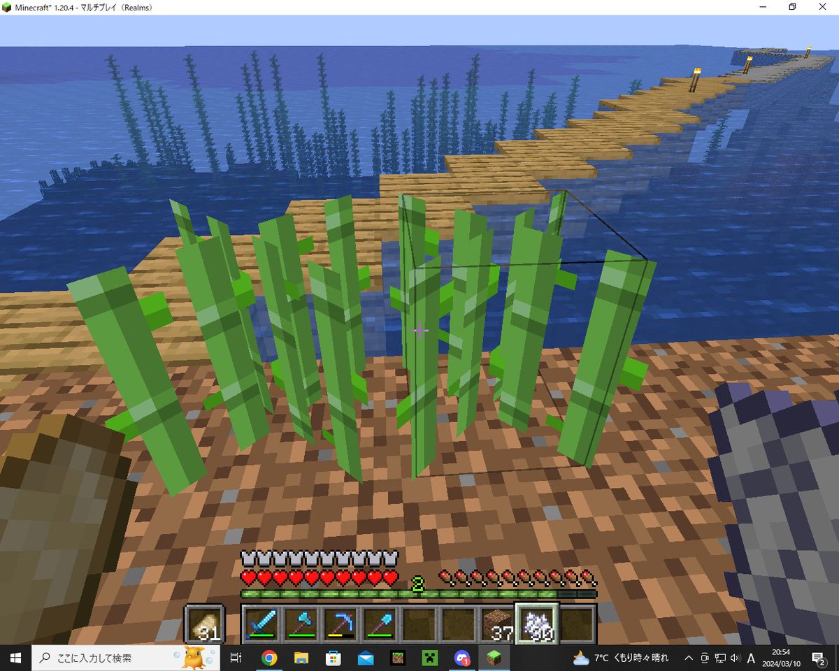 え、java版ってサトウキビに骨粉ってダメなの？！
#Minecraft #マイクラ