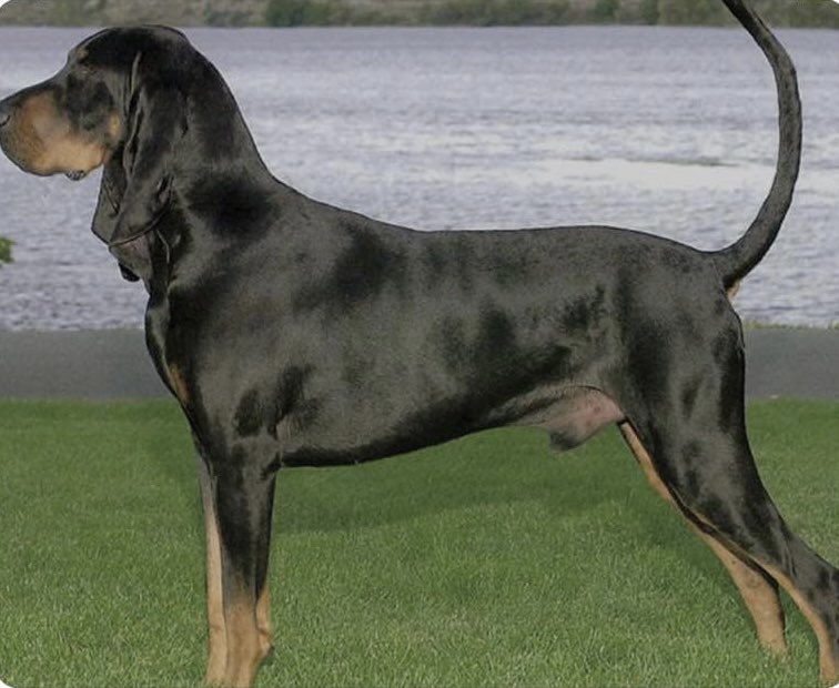 Solihull Updates tweet media