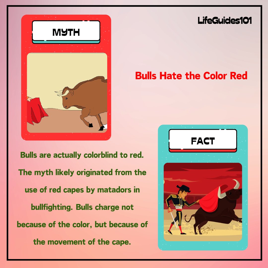 LifeGuides101's tweet photo. Did you know? 🤔

#mythvsfact #facts https://t.co/Ng1Z4q55mV