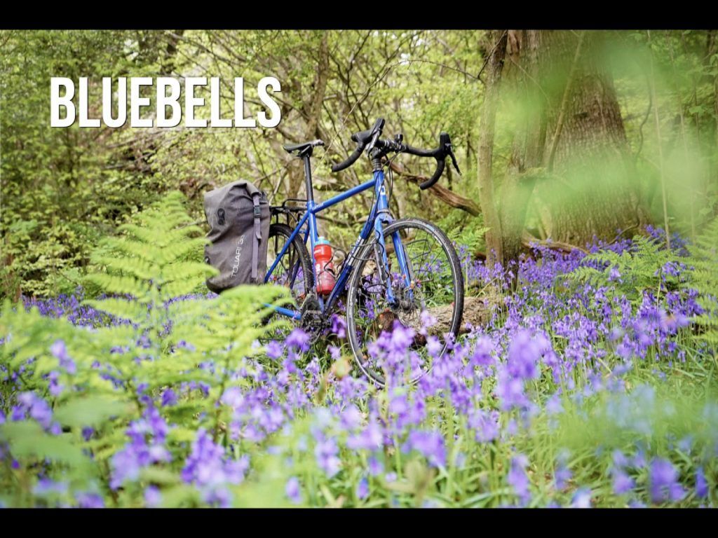 Al_Humphreys's tweet photo. ‘Often it is the commonplace things, the locally abundant, the places and the wildlife on our very doorstep that we take for granted, that slip through our fingers.’ https://t.co/pOuU1ifXxx
#LocalABC
#ASingleMap https://t.co/qw1vW1J8bk