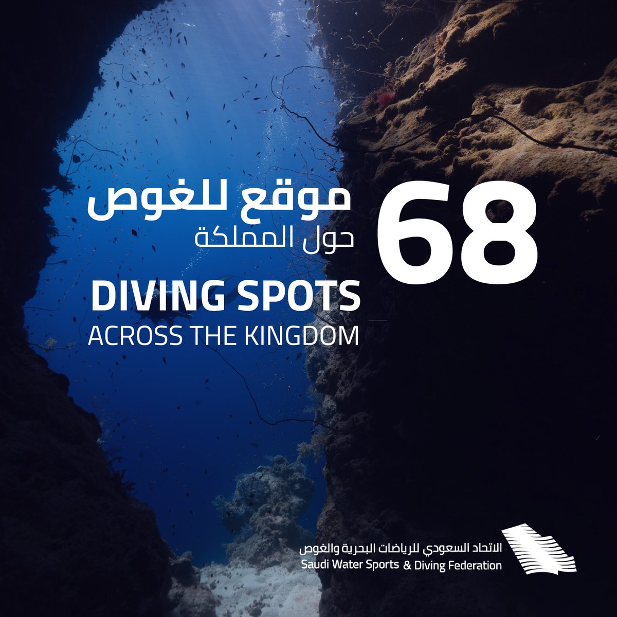 يفخر الاتحاد السعودي للرياضات البحرية والغوص بالإعلان عن إطلاق 68 موقع ساحلي للغوص في جميع أنحاء المملكة منهم 59 موقع عام و 9 مواقع خاصة📍🌊

من الأعماق التاريخية للمدينة المنورة إلى مياه مكة المكرمة المتلألئة، والشّعاب المرجانية الخضراء في عسير، وسواحل جازان النابضة بالحياة،