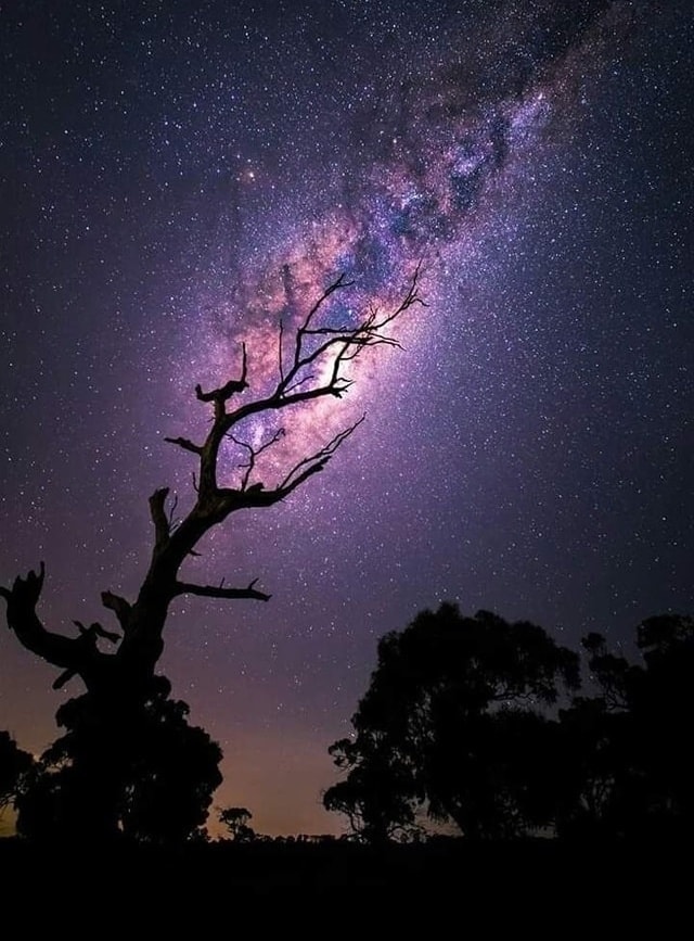 Billions and Billions Rising Milky Way by Tim Wood on 500px
