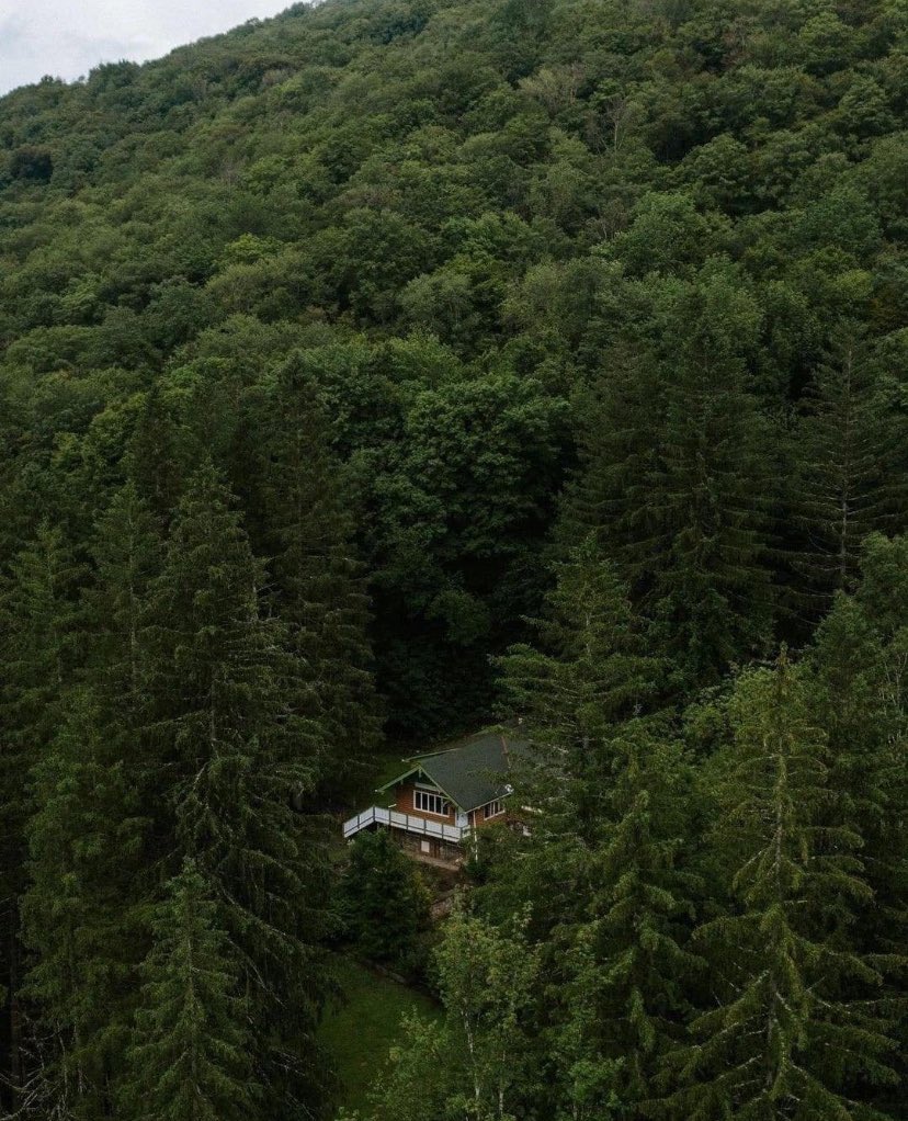 ᅠ ᅠ (@greendreaams) on Twitter photo 