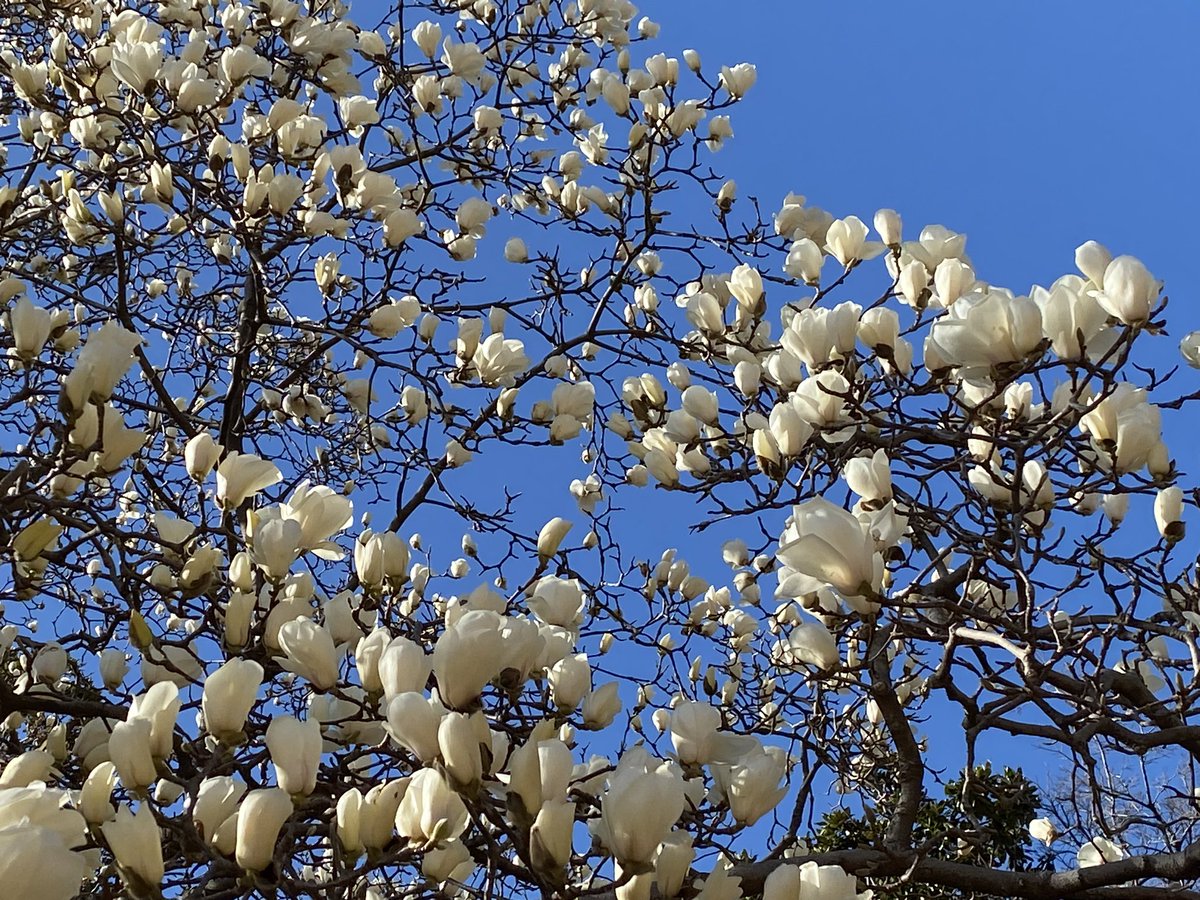 Andrei Zvelindovsky tweet media