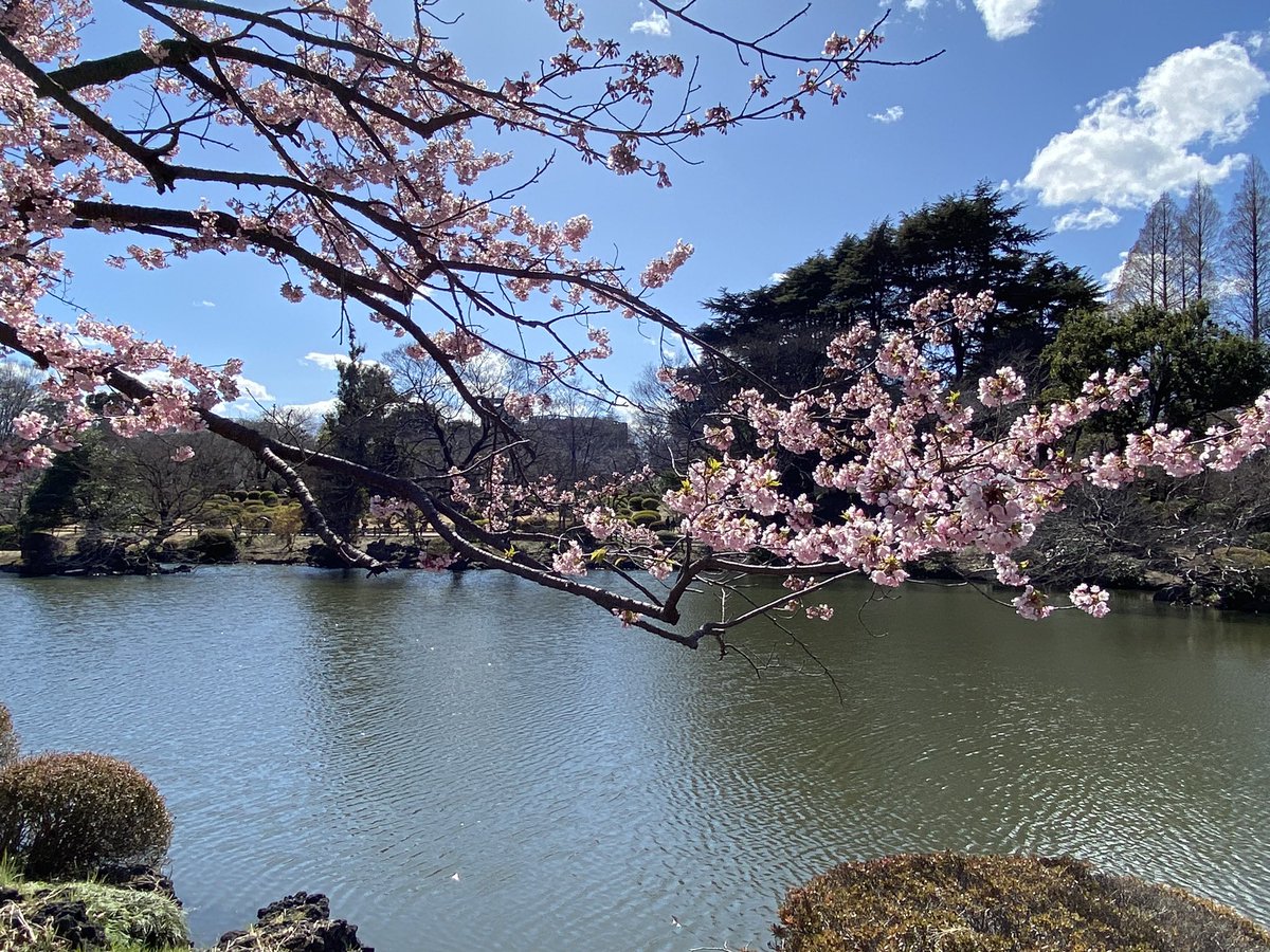 Andrei Zvelindovsky tweet media