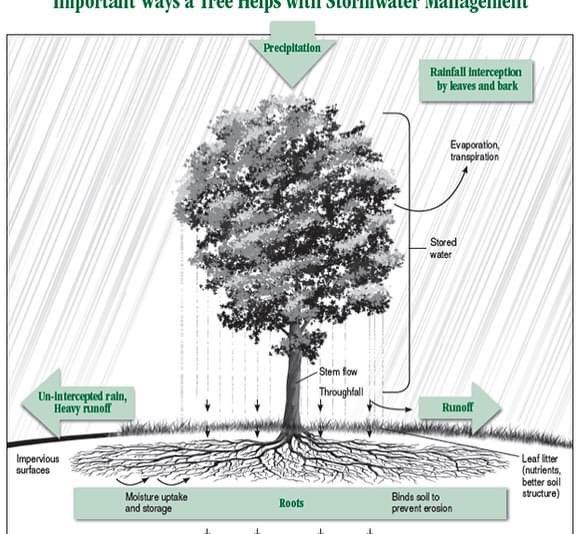 Hasbrouck Heights Green Team tweet media