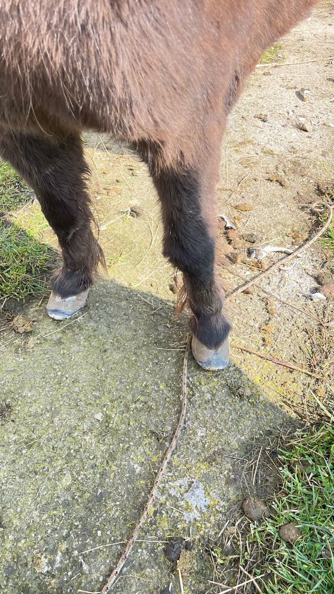 Maybach dönüşüm paketi 🧲💪🏻