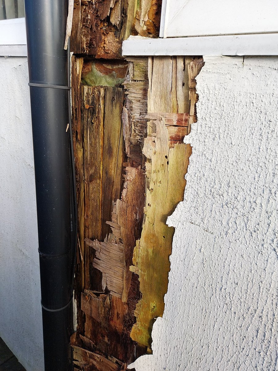 Project 55, is our plan to replace our building, before it completely rots around us. 
Sadly, the very wet weather we have experienced since the beginning of the year continues to ravage our building and water regularly seeping into our Ops room.
 1/2