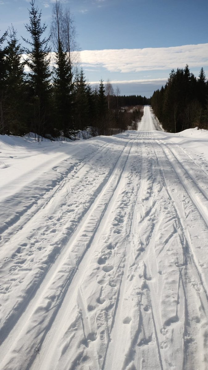 kahonen68's tweet photo. Loistoniemen lenkki oli nimensä mukainen. Ja piristävästi oli kerrankin lenkin pituus merkitty latukarttaan reilusti liian lyhyeksi.
#hiihto #pertsa #varpaisjärvi https://t.co/5TfB3B4qrG