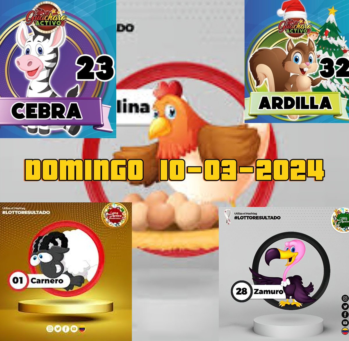 Radarhipico's tweet image. #Domingo #Animalitos #Hipismo
#Caballos #RegalosAbiettos