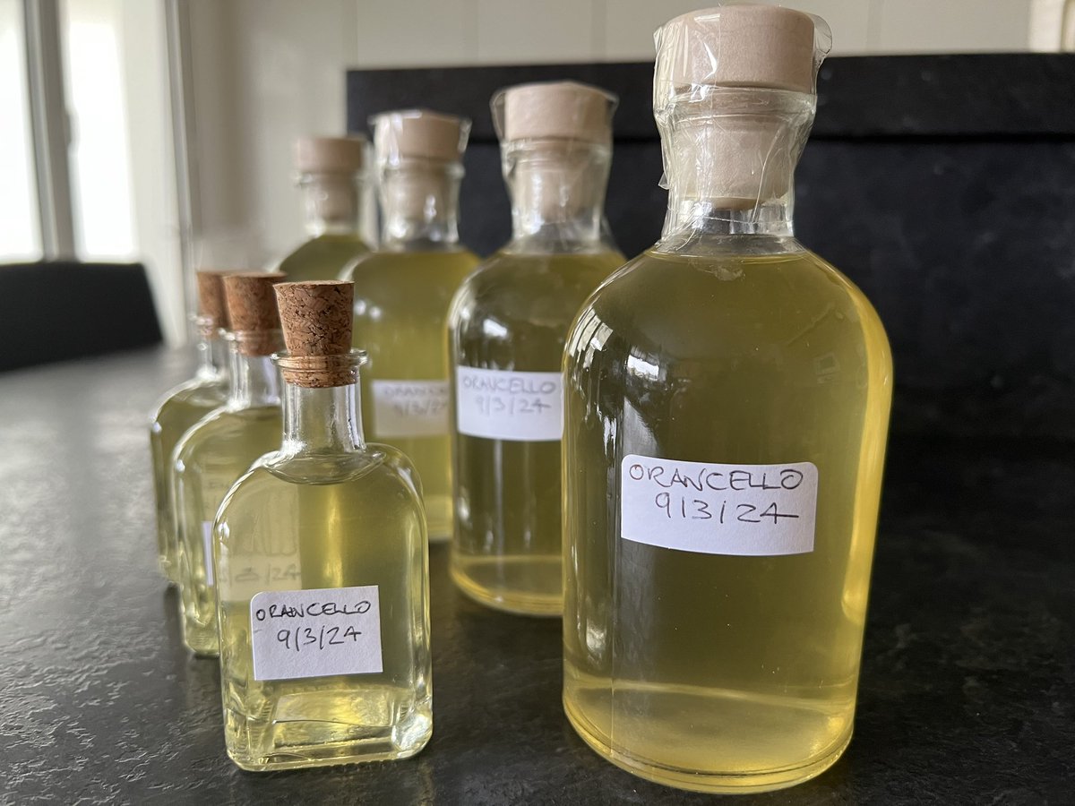 Orancello, 2nd batch less cloudy light orange colour and lovely orange flavour, great on its own and magic with Champagne, sparkling wine or Prosecco #oranges #orancello