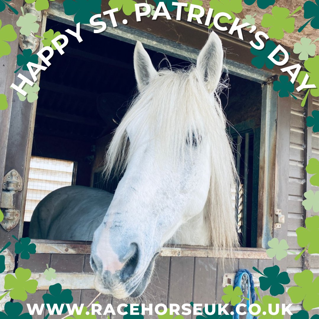 ☘️☘️ Happy St. Patrick's Day ☘️ ☘️

racehorseuk.co.uk
#StPatricksDay  #horseracing  #dayattheraces #racehorsetrainer  #racehorsesyndicate  #horseracingclub  #racehorse  #racehorses