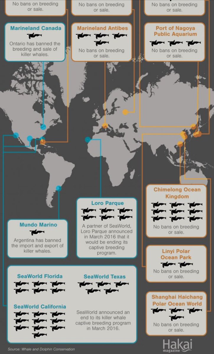 For #Dolphin awareness month ~ where Orcas are in captivity 
<a href="/WhaleTalesOrg/">Whale Tales🐳🐋🐬</a> <a href="/whalesorg_de/">Whale and Dolphin Conservation Deutschland</a> <a href="/whalesorg/">Whale and Dolphin Conservation (WDC)</a> <a href="/ErichHoyt/">Erich Hoyt</a>