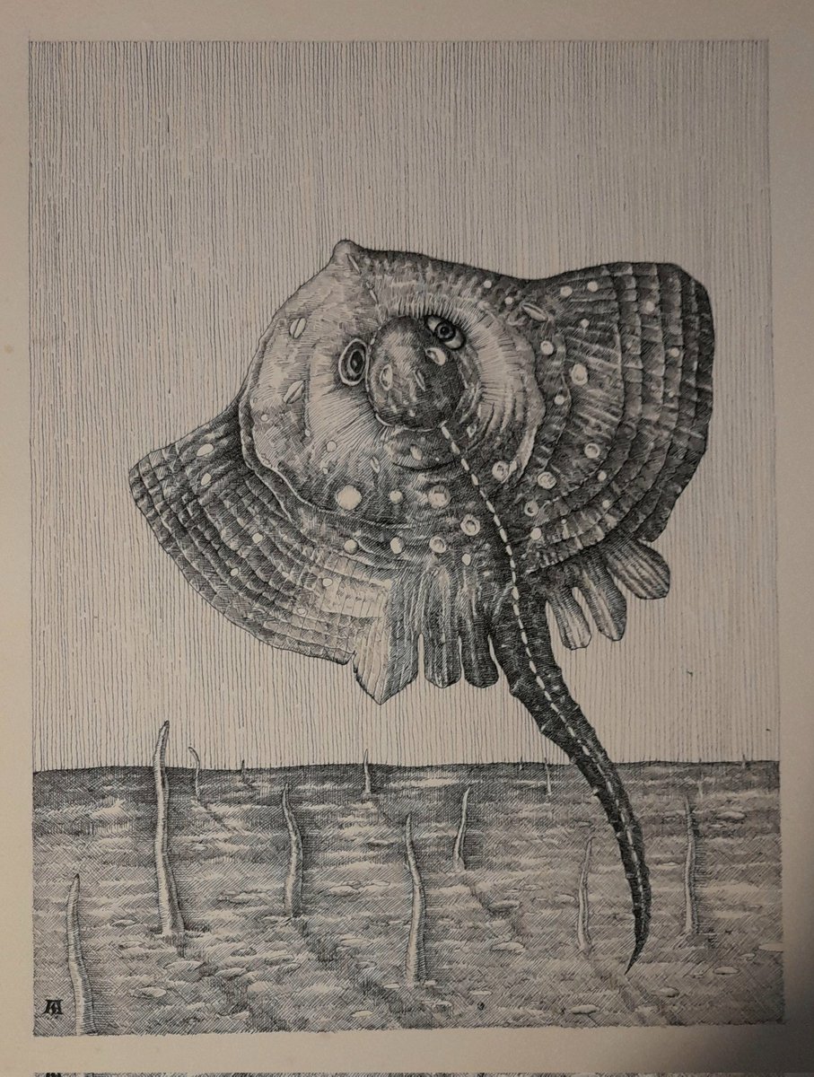 Flatfish (finished) #art #drawing #dessin #illustration #animaldrawing #fish #artistsontwitter