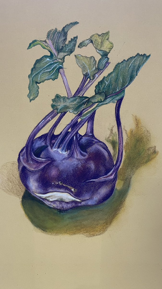 Saw this gorgeous purple Kohlrabi in a farm shop yesterday, it looked so good I bought it to draw it. Pencil and pastel on Pastelmat. #adrawingaday #pasteldrawing #colouredpencils #vegetableart #purplethings