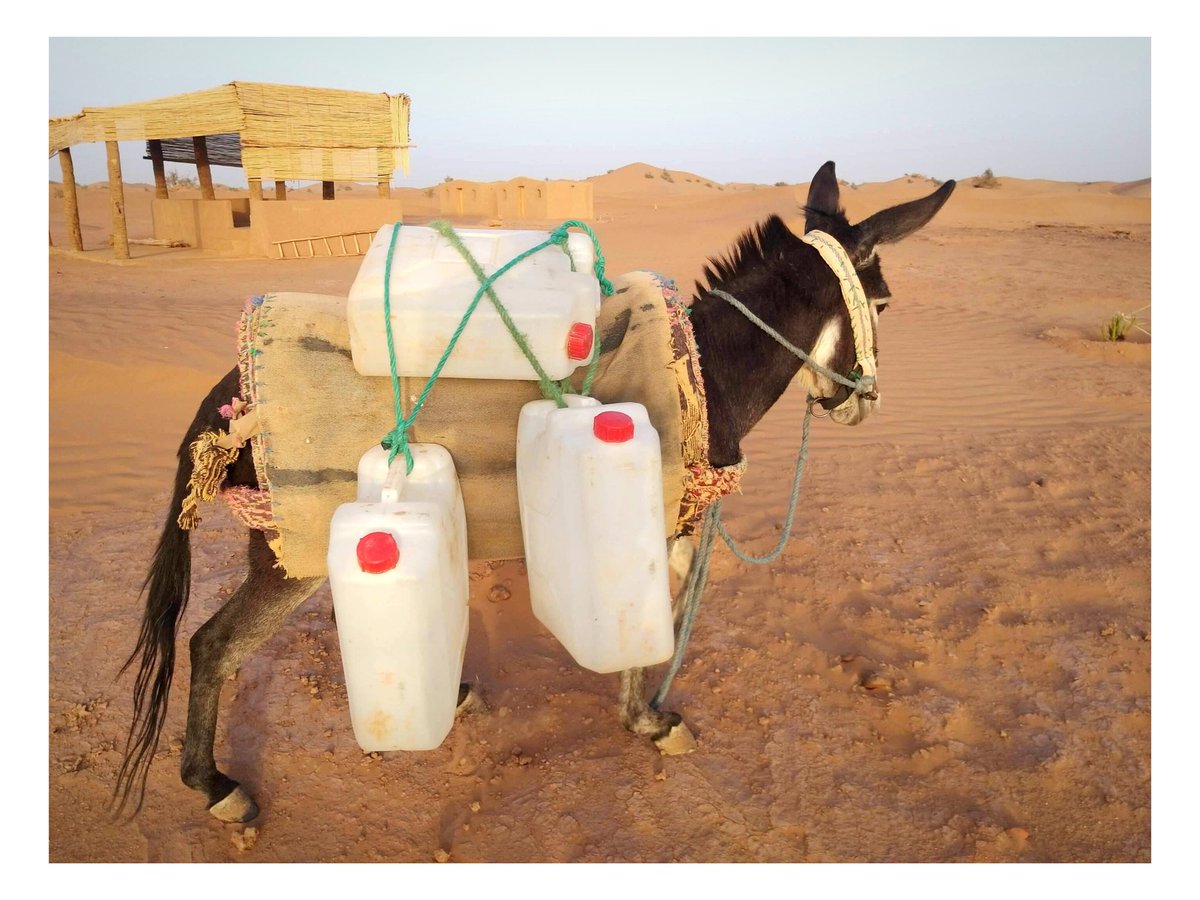 Water for Peace 
#exhibition #photography #festivaldunomade #mhamidelghizlane #WaterCrisis #ClimateAction <a href="/UN_Water/">UN-Water</a>