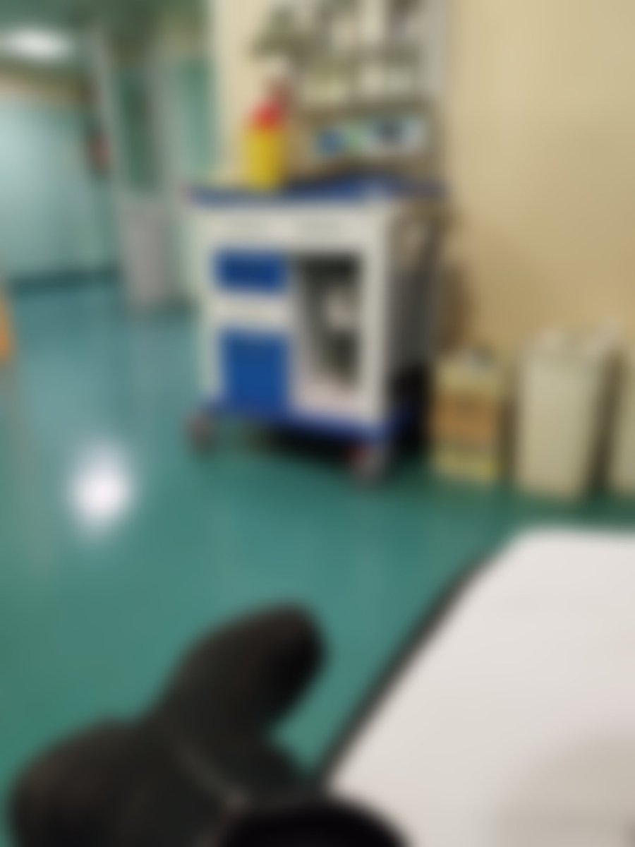 Gm, Yesterday I fainted and hit my head, a head injury,I don't remember how it happened, I just felt a loud blow to the head and I was on the ground.  I went to the hospital.They did all the checks and examinations. 
Thank god nothing serious. . But I'm afraid it will happen