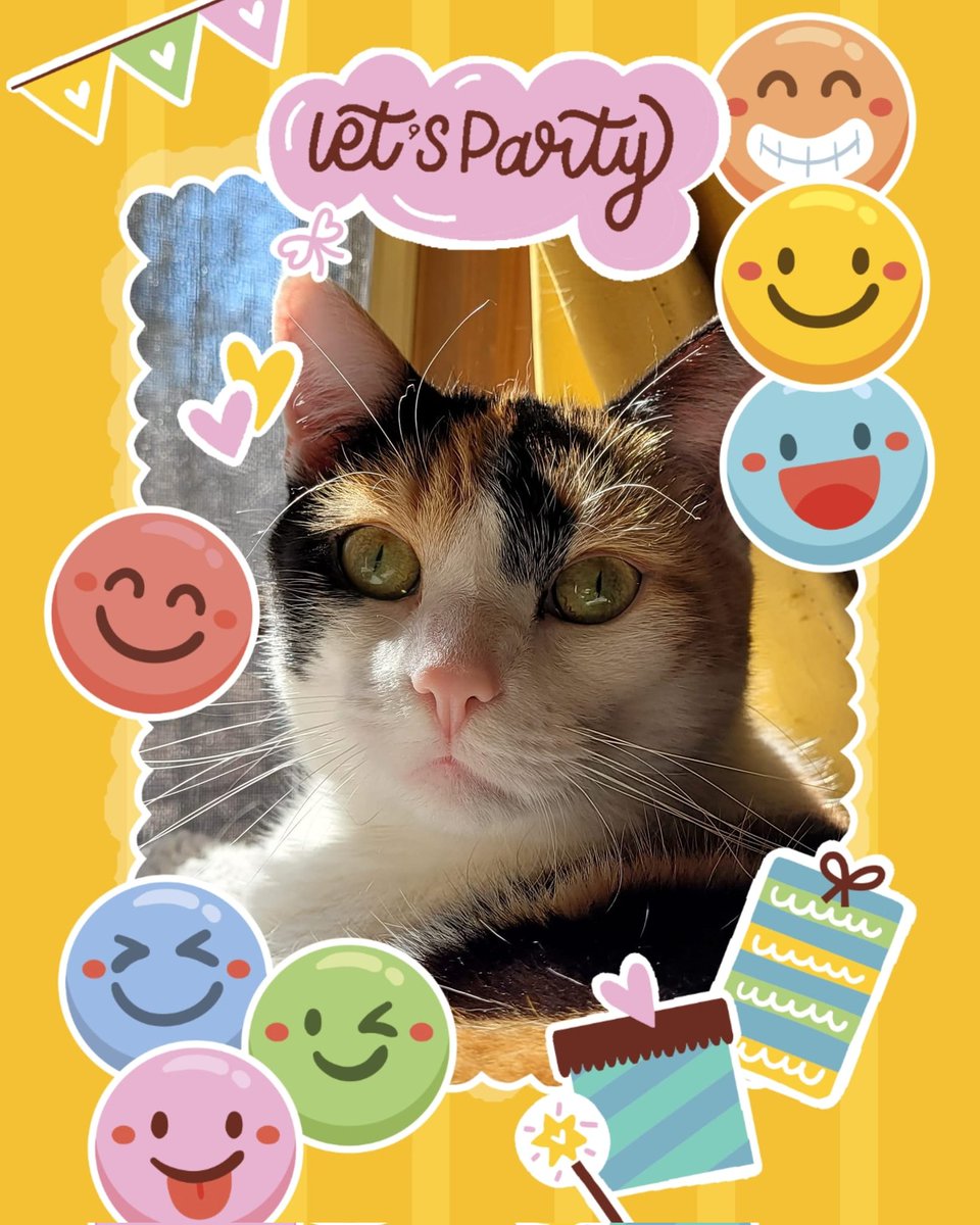 Happy Birthday Karras! 🥳🐱🎈